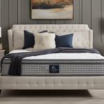 Olympic Queen innerspring mattress